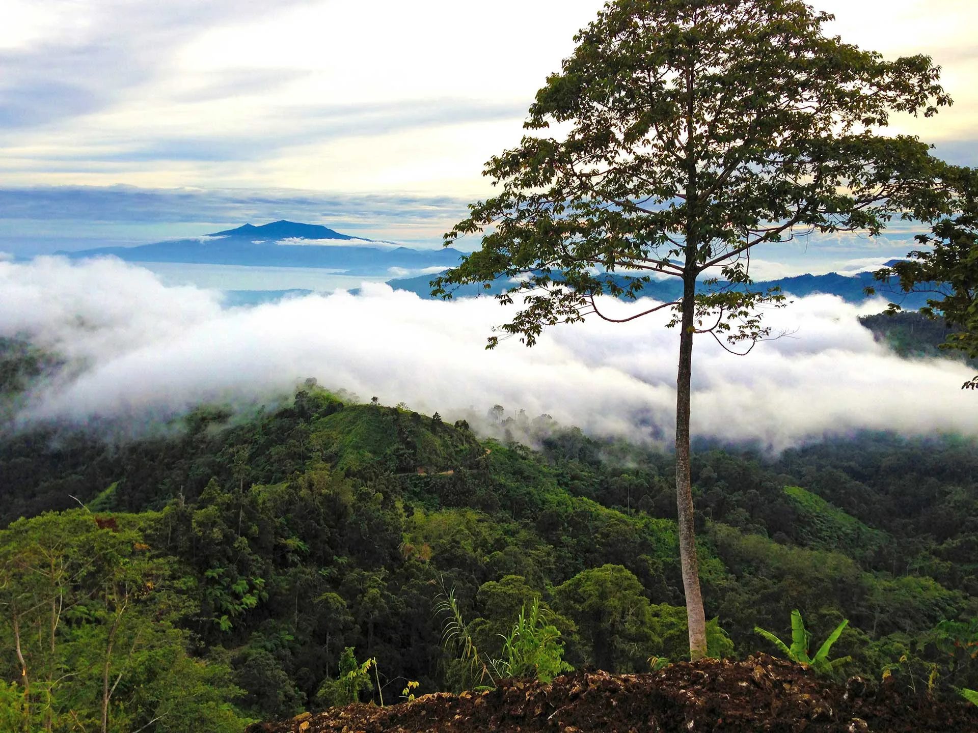 Davao Oriental